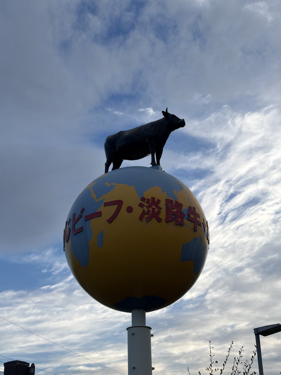papa3tou's tweet photo. 100日チャレンジ 
Day37/100🏃‍➡️

昨日30km。
今日は回復ジョグ8km。

長い距離を走った翌日は、
身体の様子をしっかり確認します。

脚はどうか。
呼吸はどうか。
疲れは残っているか。

今日は「走る」より
「確認する」くらいの気持ちで。

順調に回復してそうです🙆‍♂️ https://t.co/O6MtcAhwYF
