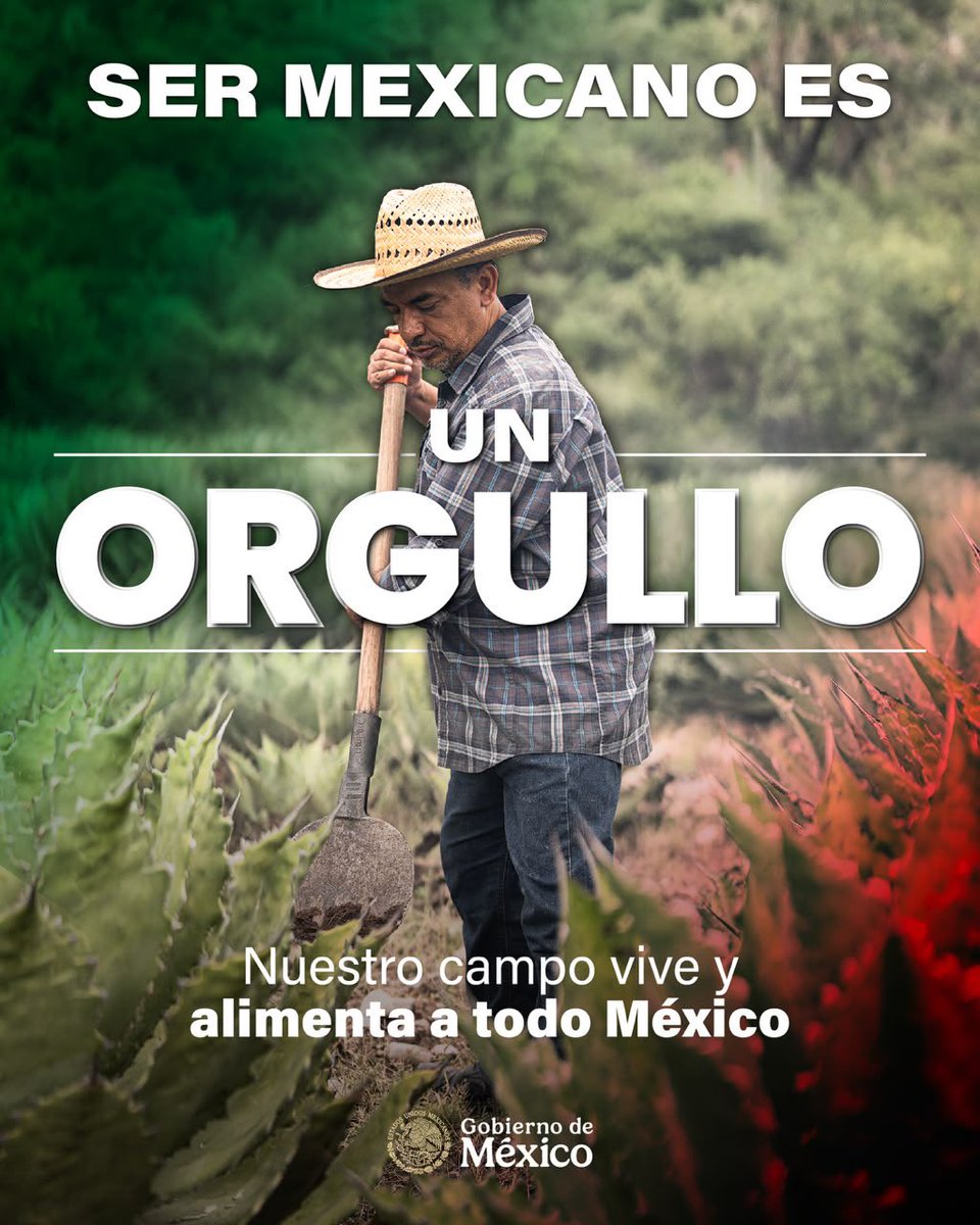 SENER_mx's tweet photo. 🌾🌽 De nuestras tierras nace mucho de lo que somos.

El campo mexicano vive en nuestras manos, en nuestras mesas y se fortalece con #energía para producir y alimentar a México. 🇲🇽⚡ https://t.co/L1pIR5lcm4