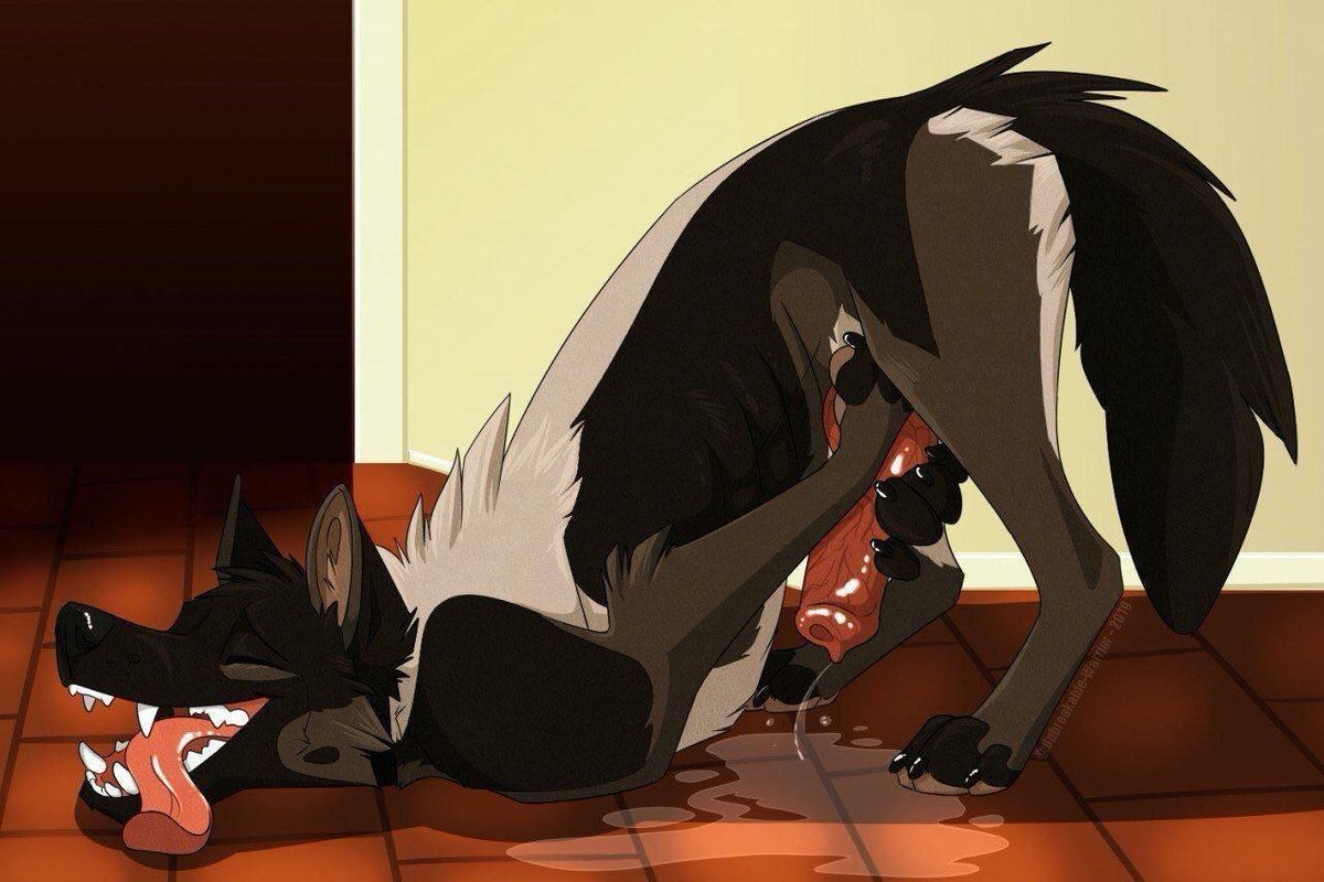 FurryLovver420's tweet photo. https://t.co/vu8RhpsZu8