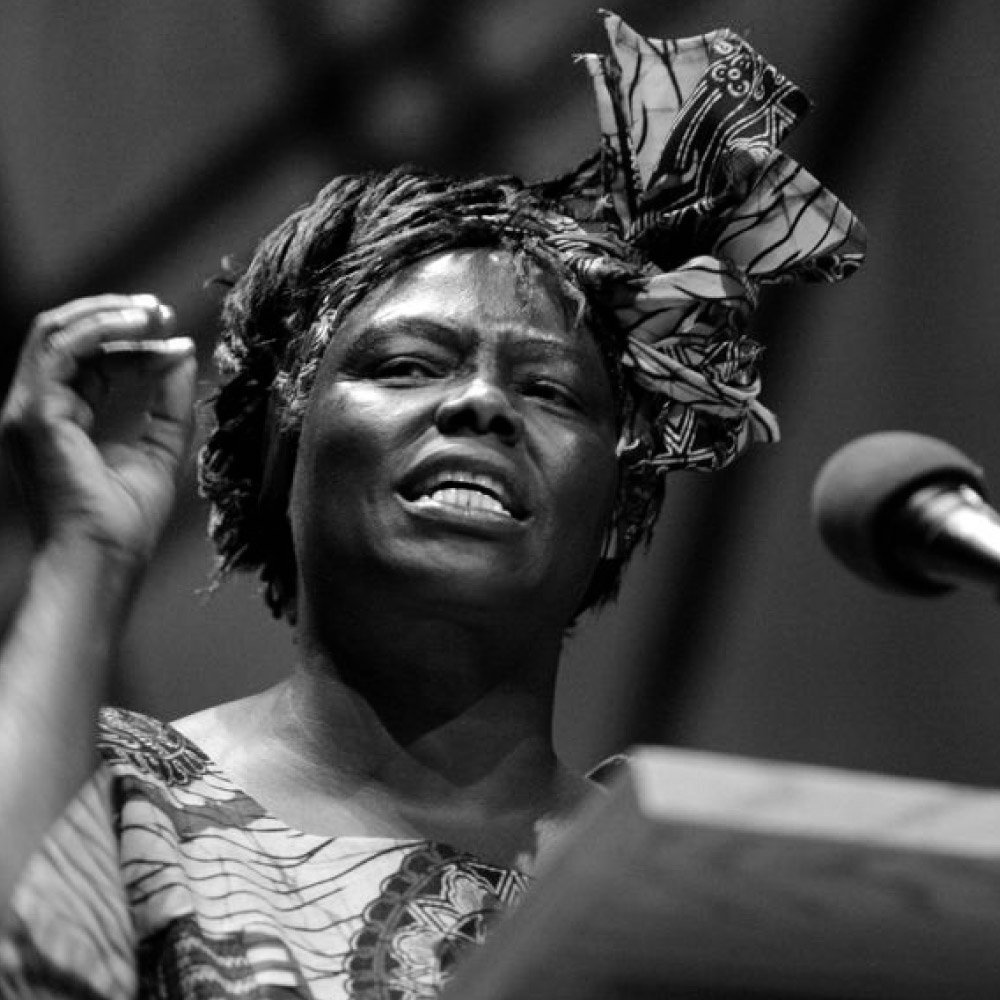 Saganismm's tweet photo. "In the course of history, there comes a time when humanity is called to shift to a new level of consciousness, to reach a higher moral ground."

— Wangari Maathai https://t.co/8NlIt1pSsq