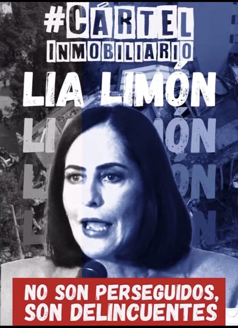 MMillerR2's tweet photo. Tendrán que hacer algo por más que esta señora conforma el club de los abogadillos de #ClaudioX
@ASF_Mexico @ErnestinaGodoy_ @SATMX @Hacienda_Mexico @SCJN @rosaicela_ https://t.co/OB4AqjbAcM