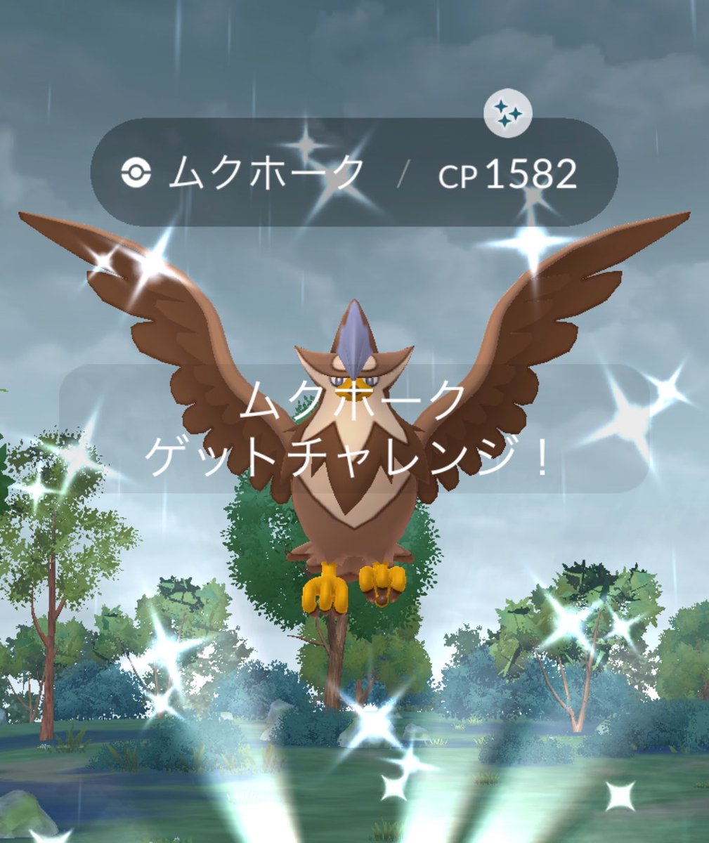 8i601's tweet photo. メガムクホークスーパーメガレイドデイお疲れさまでした🦅 
全世界80億が待望のひこうタイプメガシンカ、新実装おめでとう👏 今回はエナジー集めるだけだったけど…ひさびさに皆でレイド回れてめっちゃ楽しかった😂 https://t.co/lvttxjds11