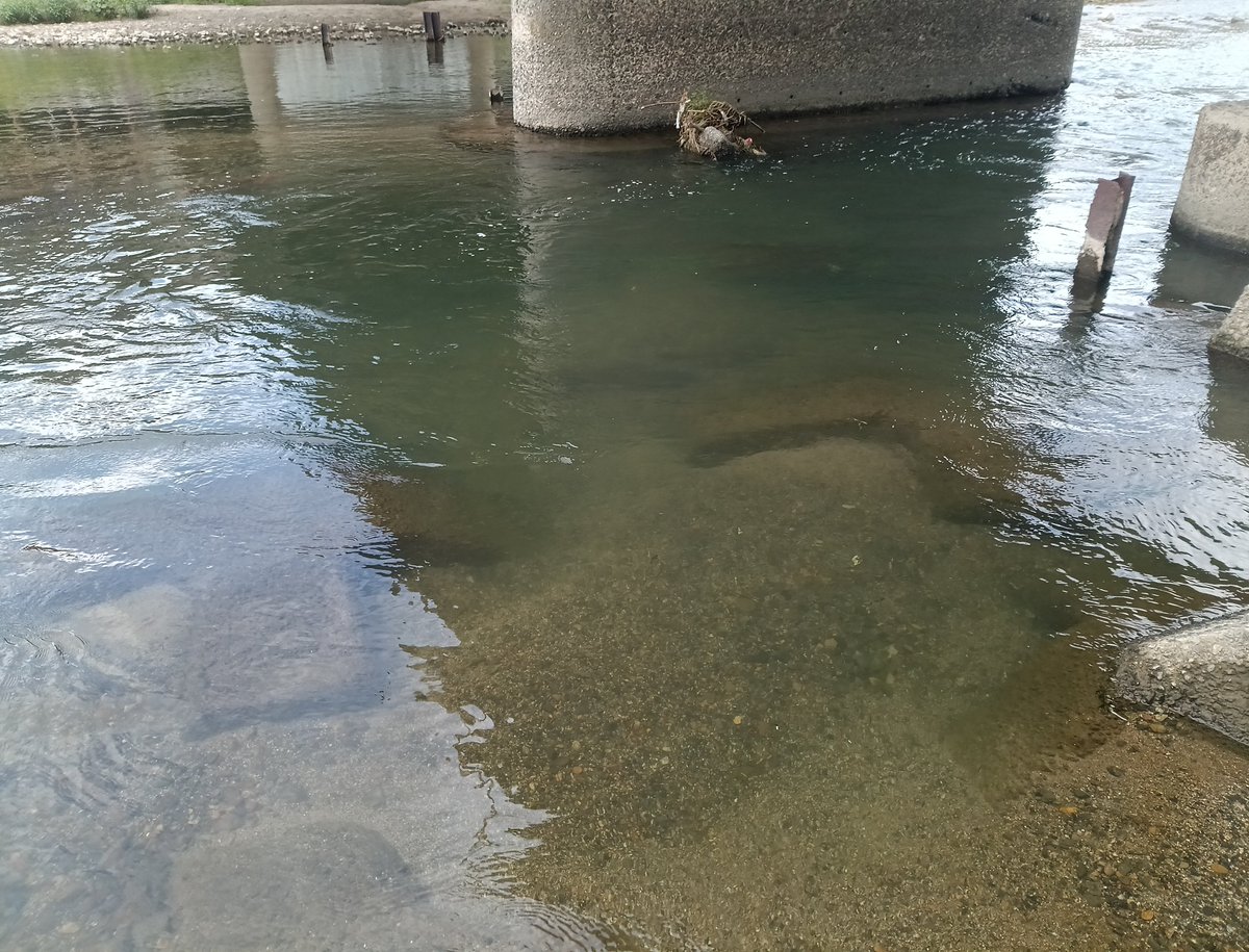 LeonLeoni3yi's tweet photo. 大阪旅行に来たはずなのに今なぜか京都にいます。ﾄﾞｽﾄﾞｽｪ〜 https://t.co/nfqnAwfvJa
