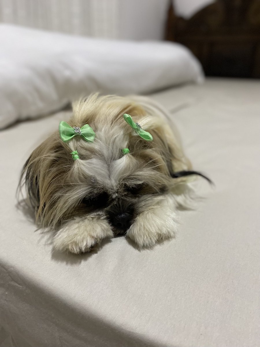 judehates's tweet photo. apreciem a beleza da minha filha https://t.co/pjSxDwc08o