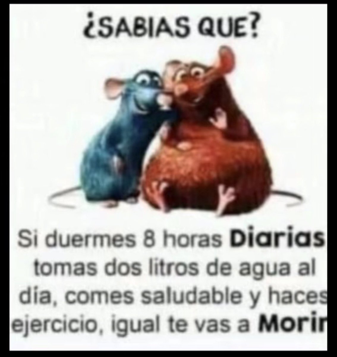 ItsGutiiloool's tweet photo. A veces me olvido que tengo Twitter….. https://t.co/pKlQPse00m