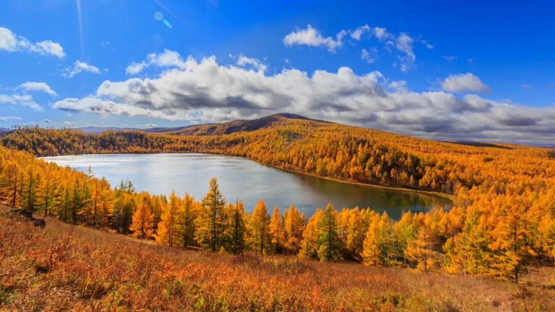 selinam75739703's tweet photo. 童话森林—阿尔山  #Amazingchina https://t.co/mVYT3Lax6C