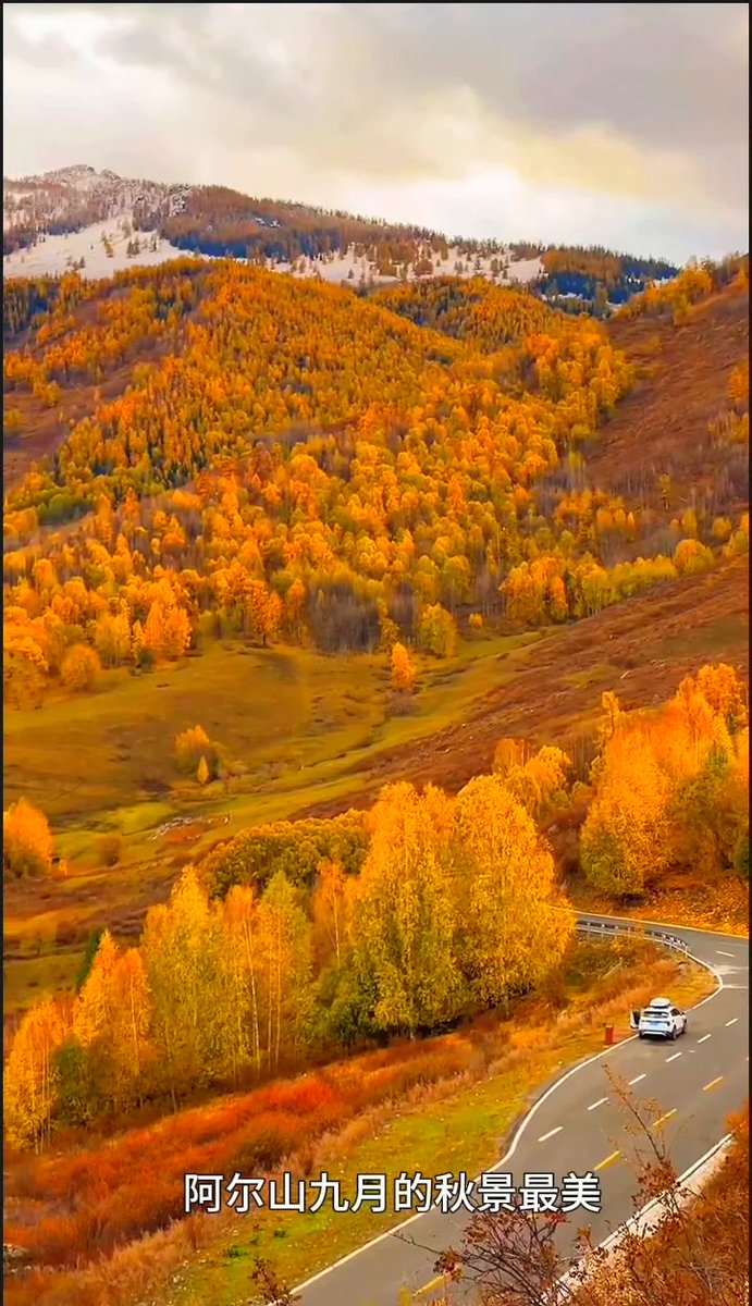 selinam75739703's tweet photo. 童话森林—阿尔山  #Amazingchina https://t.co/mVYT3Lax6C