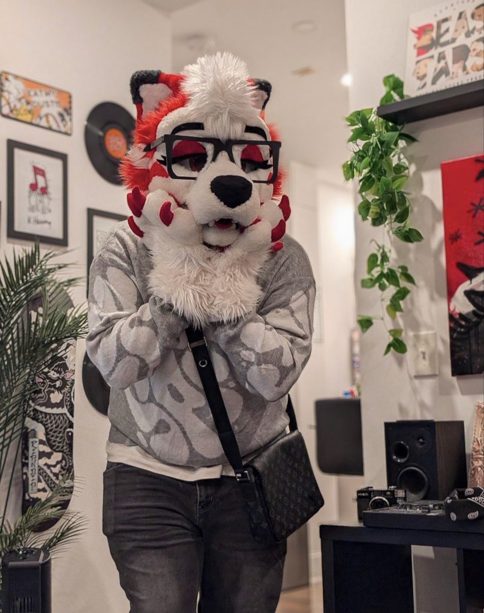 RivalsTheHusky's tweet photo. puppy got a new sweater 🤍

📸 @thatbluebeagle https://t.co/JlEaV1WWUY