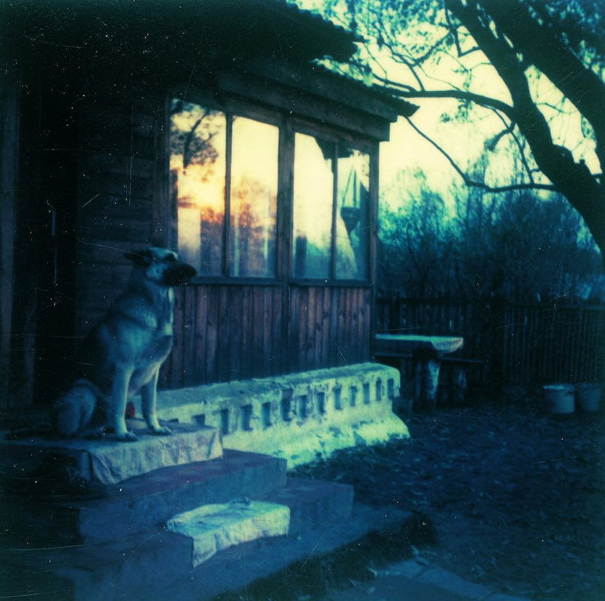 TheCinesthetic's tweet photo. Andrei Tarkovsky’s Polaroids. A glimpse into the world through the eyes of one of cinema’s greatest filmmakers. https://t.co/53Qm96XfXq