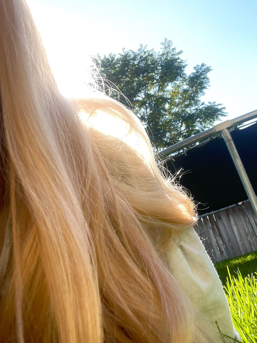 tuliphyacinth's tweet photo. it was supposed to be cloudy today https://t.co/ZS1xwMxXza