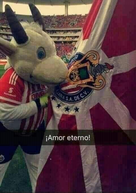 teamoyiyiga's tweet photo. amor eterno!!! https://t.co/L95y4oCCtC