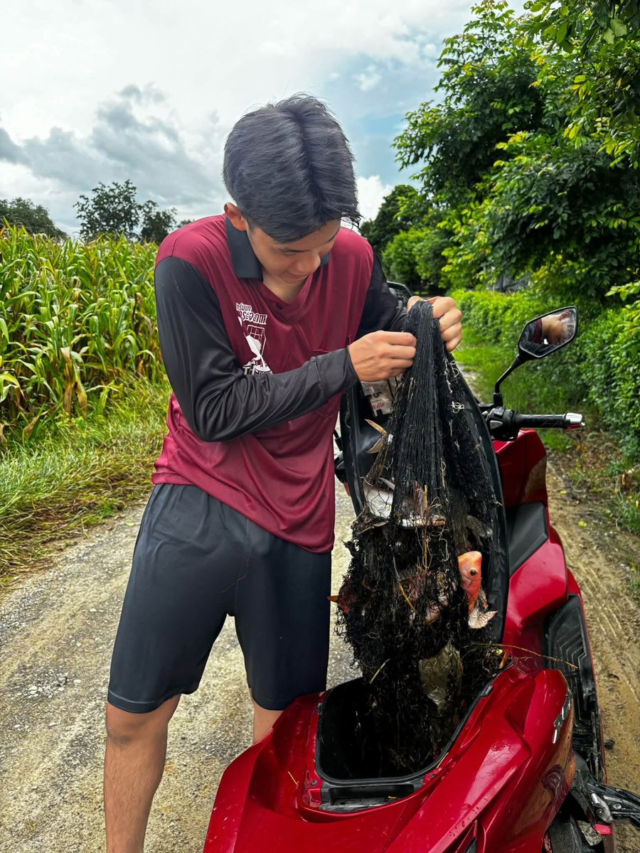 juthawut54's tweet photo. เช้าเช้า พอได้หน่อย 🐟🐟✌️
#ขออนุญาตเจ้าของภาพแจ้งลบทักข้อความ https://t.co/NVJugqy4cP