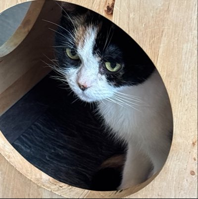chilldoway's tweet photo. #新しいプロフィール画像 https://t.co/shmyMQe661