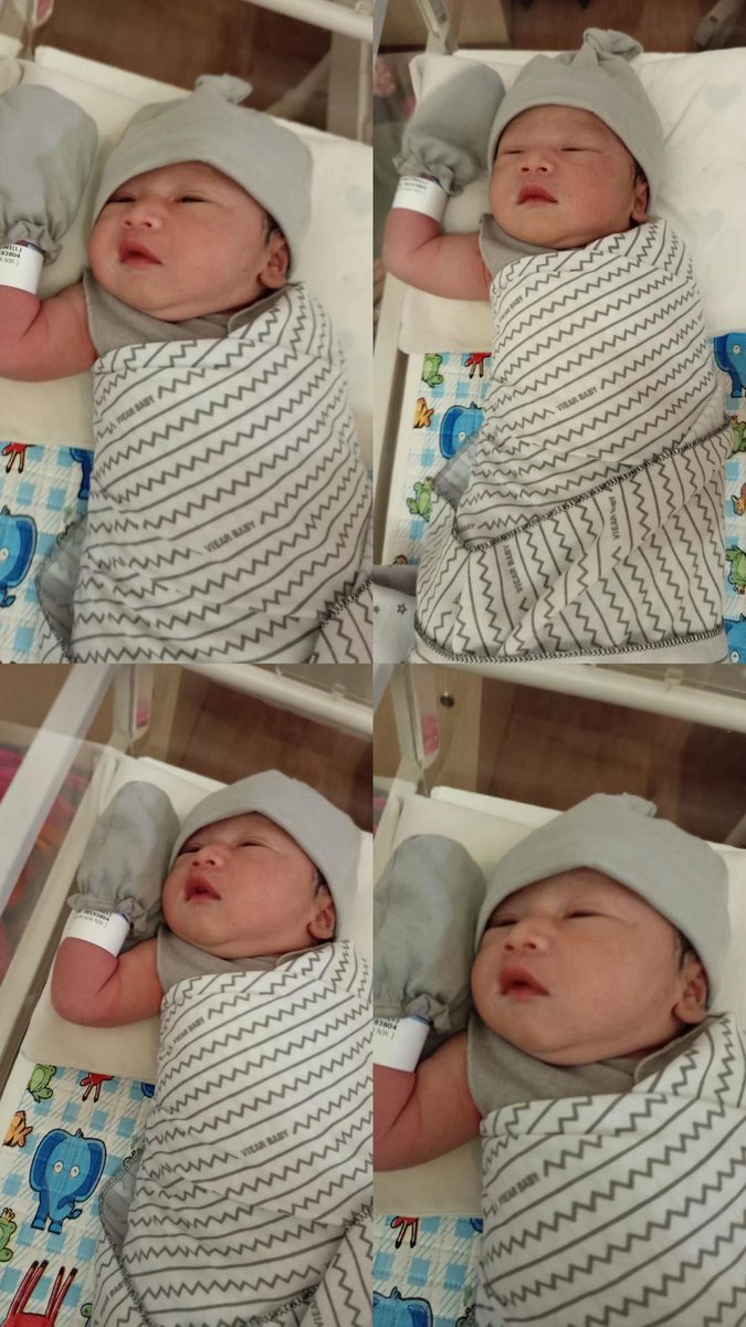 sektiii's tweet photo. Halo grey ~ udah 1 bulan kamu terlahir di dunia ini, terimakasih nak udah tumbuh menjadi anak yg sehat,pinter dan ganteng gemoy juga, dan sekrng rumah kita lebih rame karna grey hadir! Paw,miw, Kaka pink sayang adek grey🤏🥰😘 https://t.co/0jyRcJmEvr