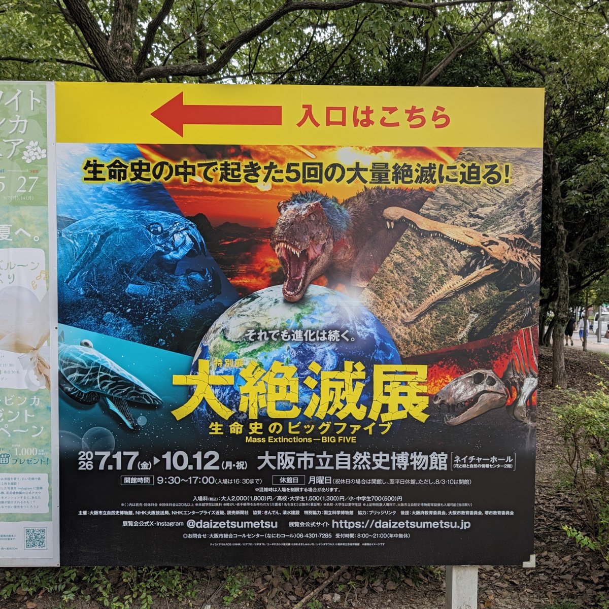 ys_fave's tweet photo. 一人で

やっと行けたー
こんなにワクワクするのは久しぶり。
早く帰って図鑑読みたい。

#大絶滅展 https://t.co/IZkMBZdxEL