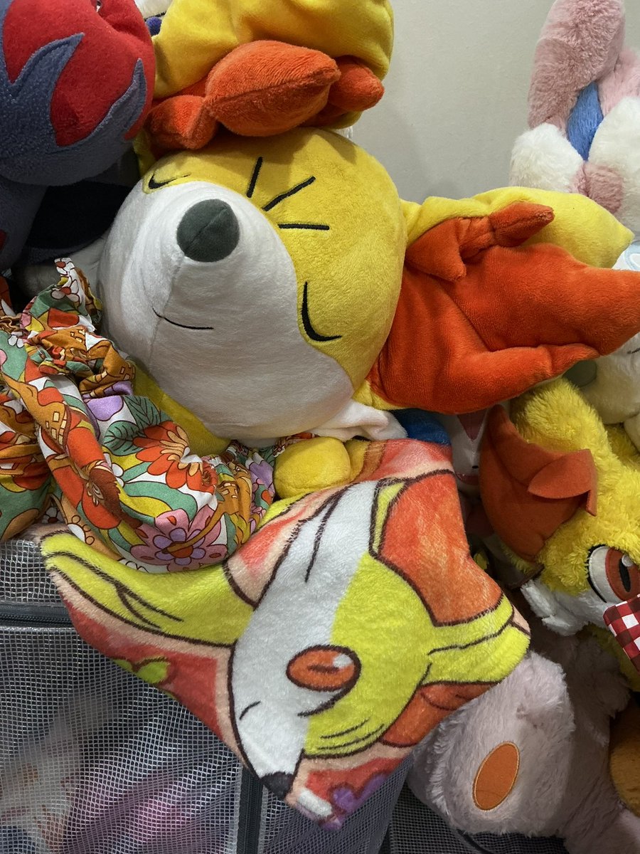 SmollCuteFenne's tweet photo. Guess my fav Pokemon https://t.co/GgIstxYLXc