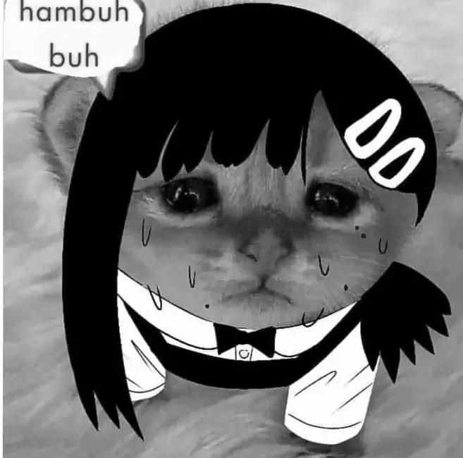 PowKirbo's tweet photo. @tiredtabby https://t.co/MizSEa8deF