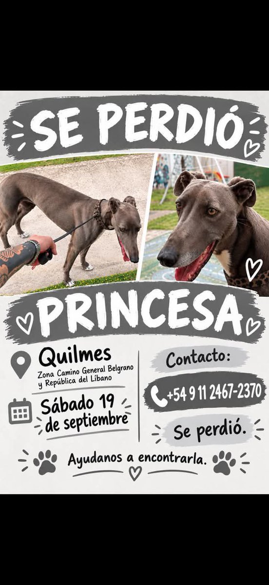 jimenadequilmes's tweet photo. Si alguien está reteniendo a PRINCESA, COMUNICARSE POR FAVOR!!!💞 SU FAMILIA LA ESTÁ BUSCANDO!!!🙏🥹💓 Desde ya, muchas gracias!!!🐶🤗❤️ #Quilmes #QuilmesOeste #PerraPerdida https://t.co/2Hq2ygStQn