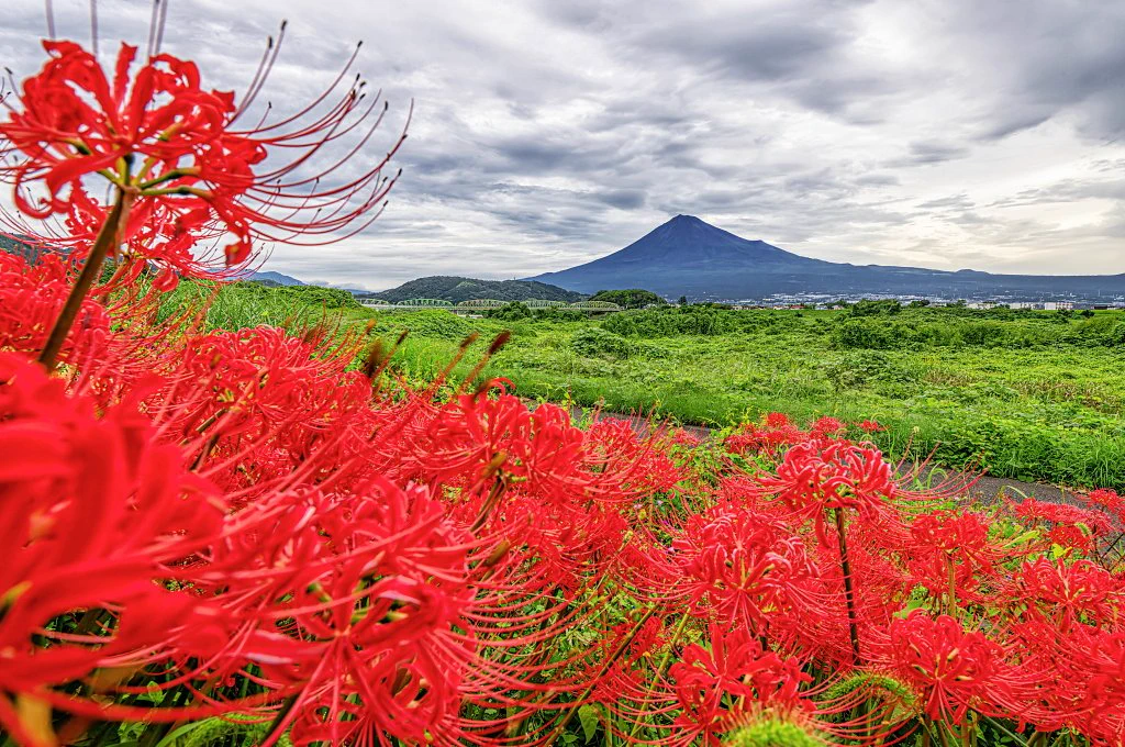 9月19日、Xで富士山の美しい姿が次々共有される