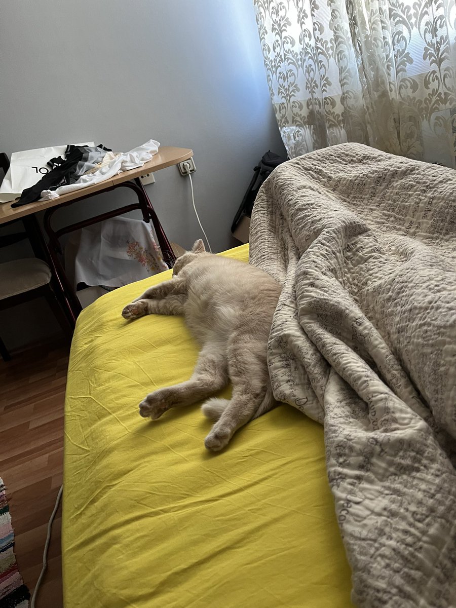 ayikkendebayiik's tweet photo. @BestOfMeow @abartmahazalya Götle don gibi olmak istemiyorum dedikten sonra https://t.co/JkrXUTDihW