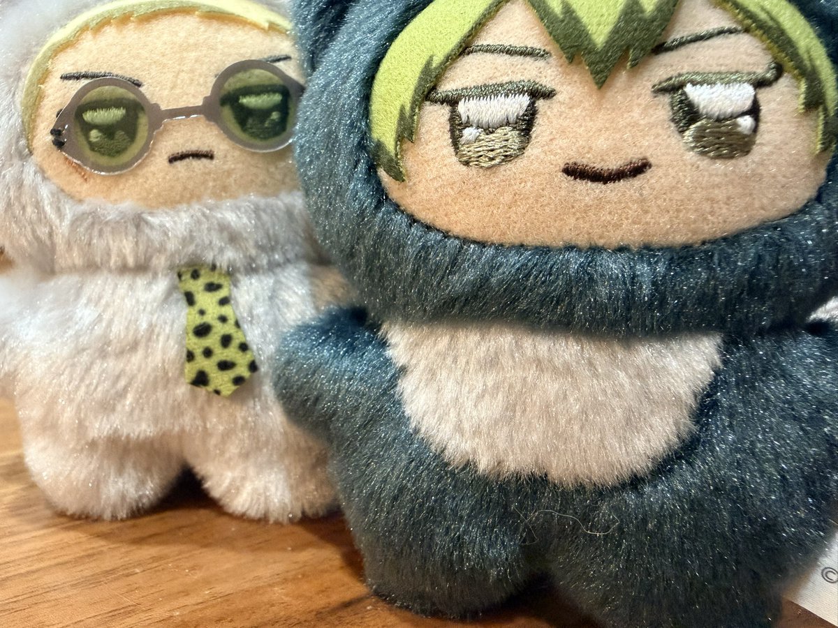 Kamome2225's tweet photo. 27歳ちみズ、触り心地めちゃ良い。 https://t.co/FLBr6JNdFI