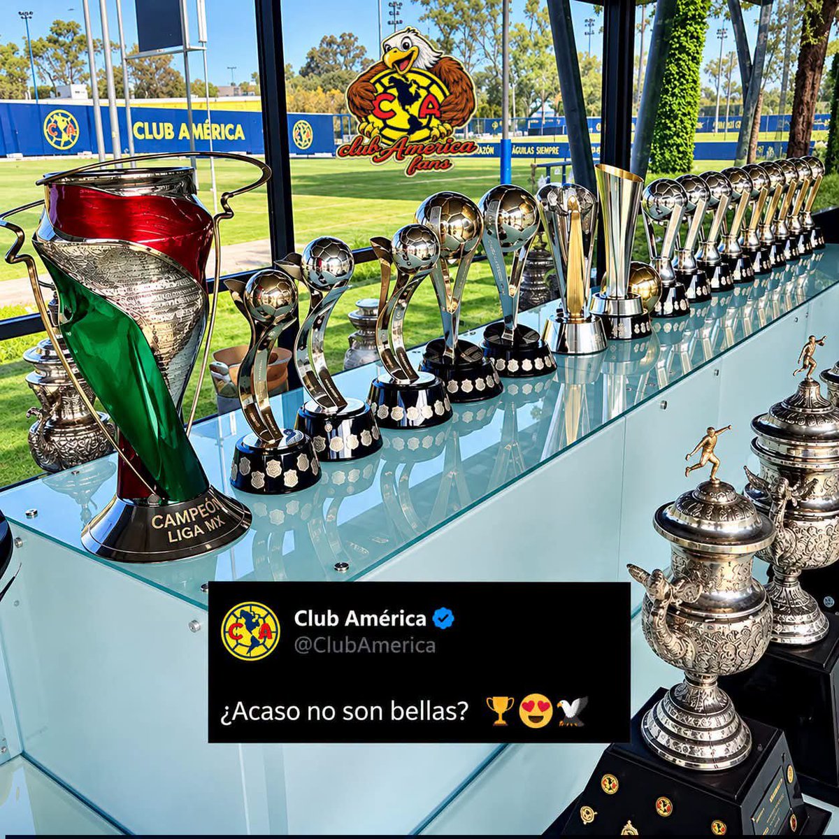 El_Hincha12's tweet photo. Que diferentes somos, nosotros festejamos titulos. No eternos procesos😉🦅🏆🏆🏆🦅 Odiame mas!Club América https://t.co/u58ZIkw77e