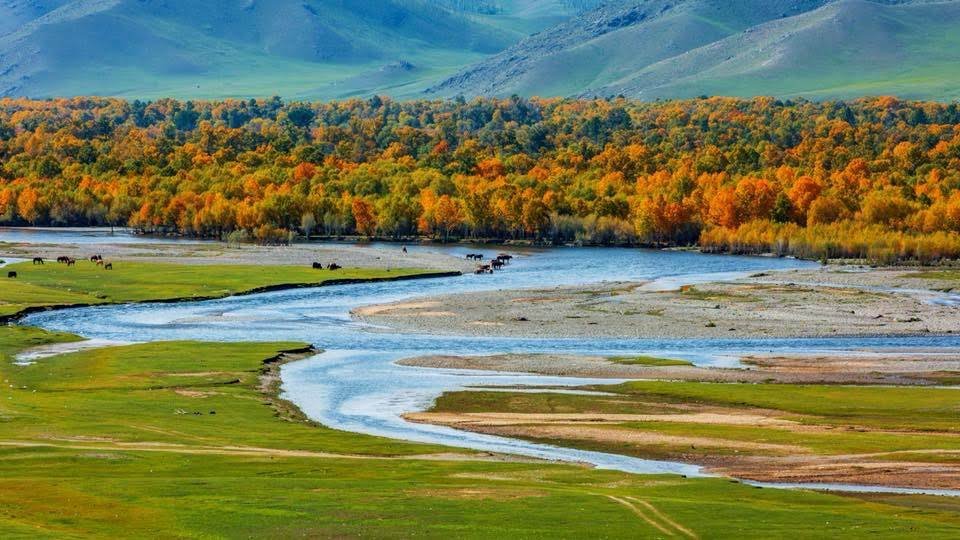Batbaatar_3's tweet photo. Өглөөний мэнд ээ. Налайх орж налайх уу https://t.co/PoT0AHFWeX