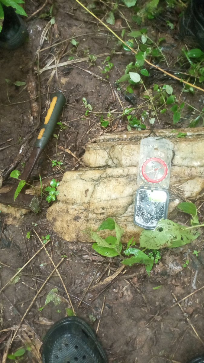 EbipadeiDaniel's tweet photo. I traveled to explore a site everyone said was "dead."

Found this:

The quartz vein was telling a different story.

In geology, we learn: Gold doesn't hide randomly. It follows structure.

Same in trading. Price doesn't move randomly. It follows liquidity.

Both reward patience.

Geologists, what's the craziest thing you found where people said there was nothing?