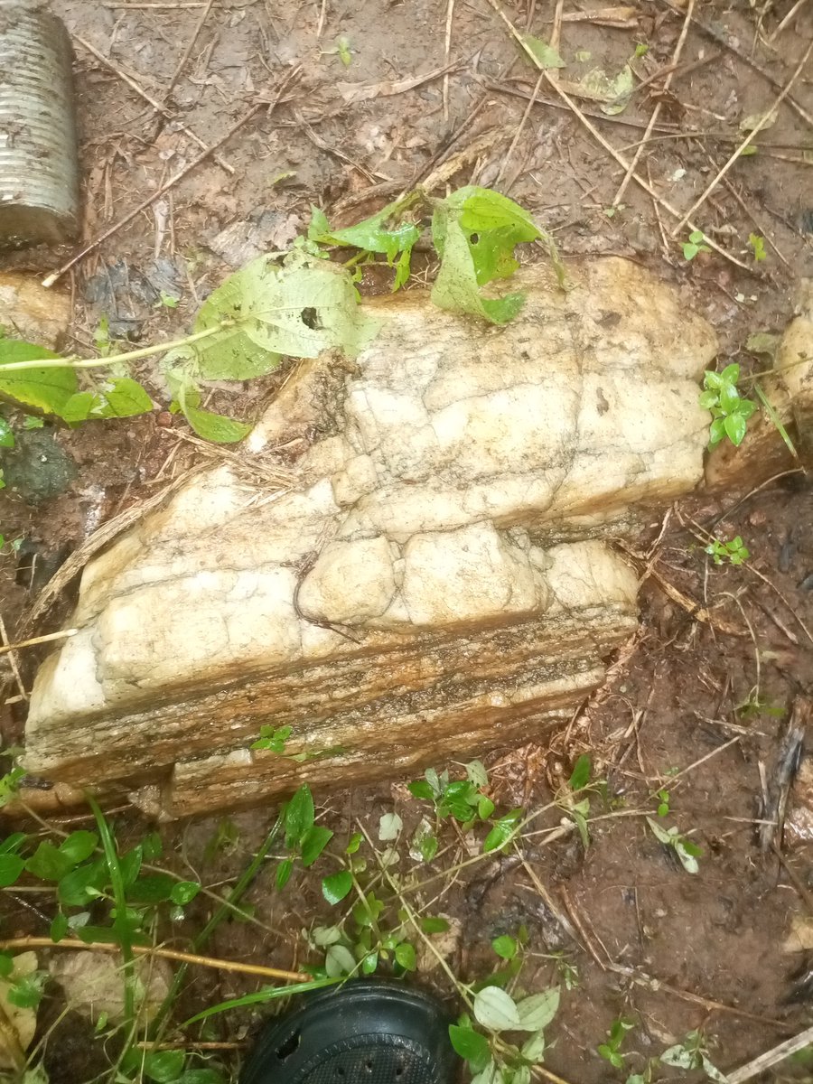 EbipadeiDaniel's tweet photo. I traveled to explore a site everyone said was "dead."

Found this:

The quartz vein was telling a different story.

In geology, we learn: Gold doesn't hide randomly. It follows structure.

Same in trading. Price doesn't move randomly. It follows liquidity.

Both reward patience.

Geologists, what's the craziest thing you found where people said there was nothing?