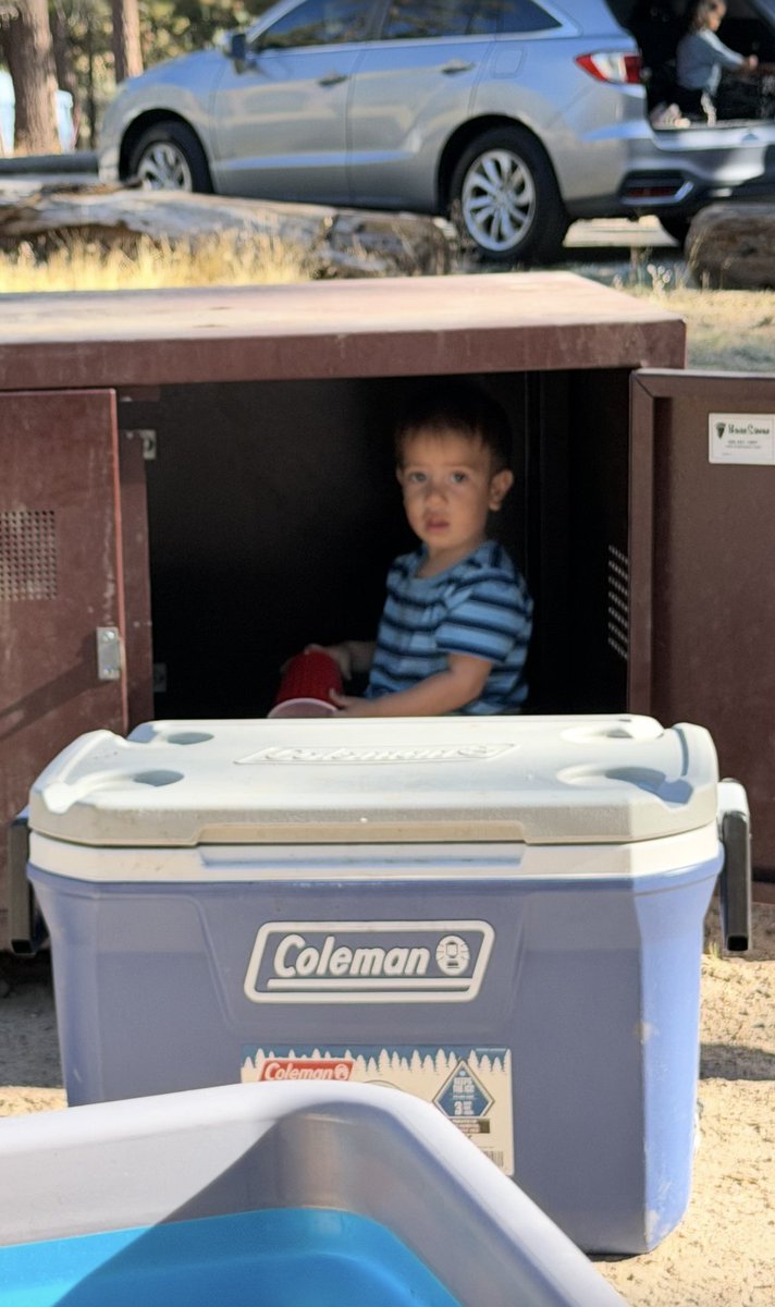 bobby_tho7's tweet photo. Nicolas, what you doing in the bear box bro https://t.co/mIbHZSANHL