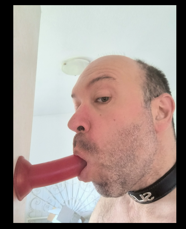 missardila77's tweet photo. now u are my slut !! https://t.co/CdFhd7fTQb