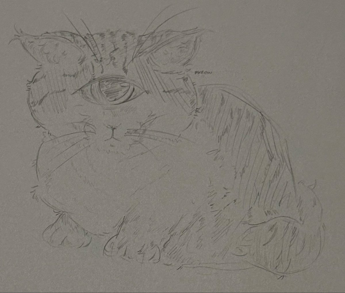 Acisxe's tweet photo. me vs finishing a piece #art #wifies #wifiesfanart #cowboy #planetlord #planetlordfanart #cat #wip https://t.co/kCojlgt6dR