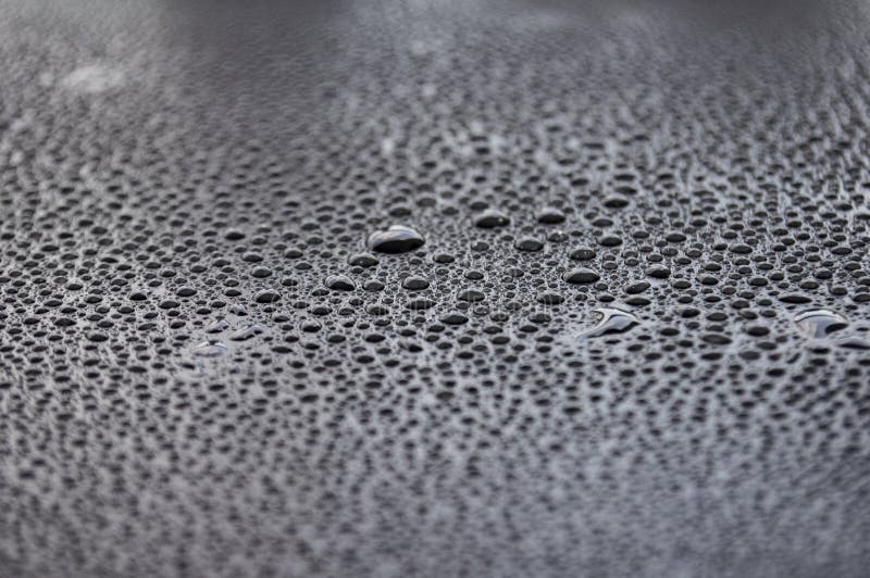 vesicafishes's tweet photo. @TheKanehB @TresBonSang Water droplets on a windshield look curved to me. https://t.co/n8OgUysAi2