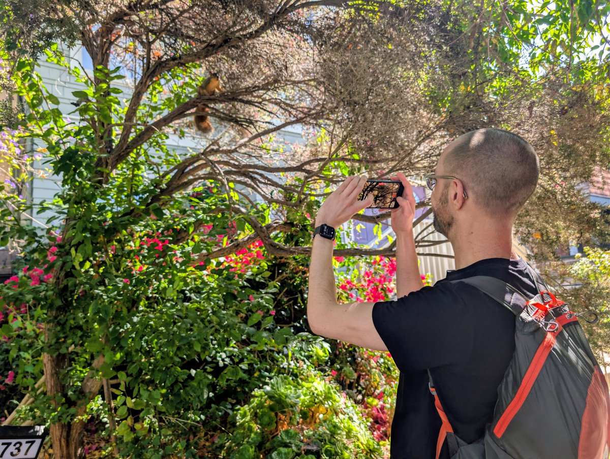 NoaWeissAI's tweet photo. Note to self: if you go on a 1:1 with @jeffrsebo he *will* stop and take a picture whenever a cute creature pops by. https://t.co/UxG4ChLTRC