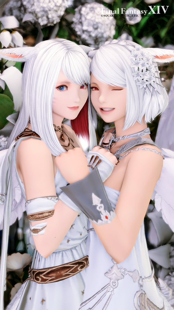 sora75718144's tweet photo. おはようございます໒꒱˚.*

リリィちゃんと動転合わせで📸✨
PCのこととかゲームのこといっぱい教えてもらって感謝( ꈍ꒳ꈍ ) ♡
おすすめしてもらったので７も買おうかな🤭

今日も素敵な１日になりますように🐈ᥫ᭡ ˖ ࣪

#listhousing 様
#ミコッテ  #おはミコ https://t.co/JywlEwJex9