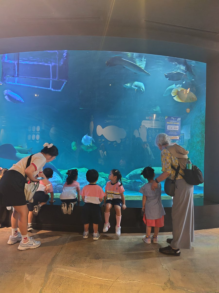 nyhnkt's tweet photo. 韓国🇰🇷大邱市　新世界百貨店🏬にある水族館🪼楽しみました😊 https://t.co/Ct7QodUIW5