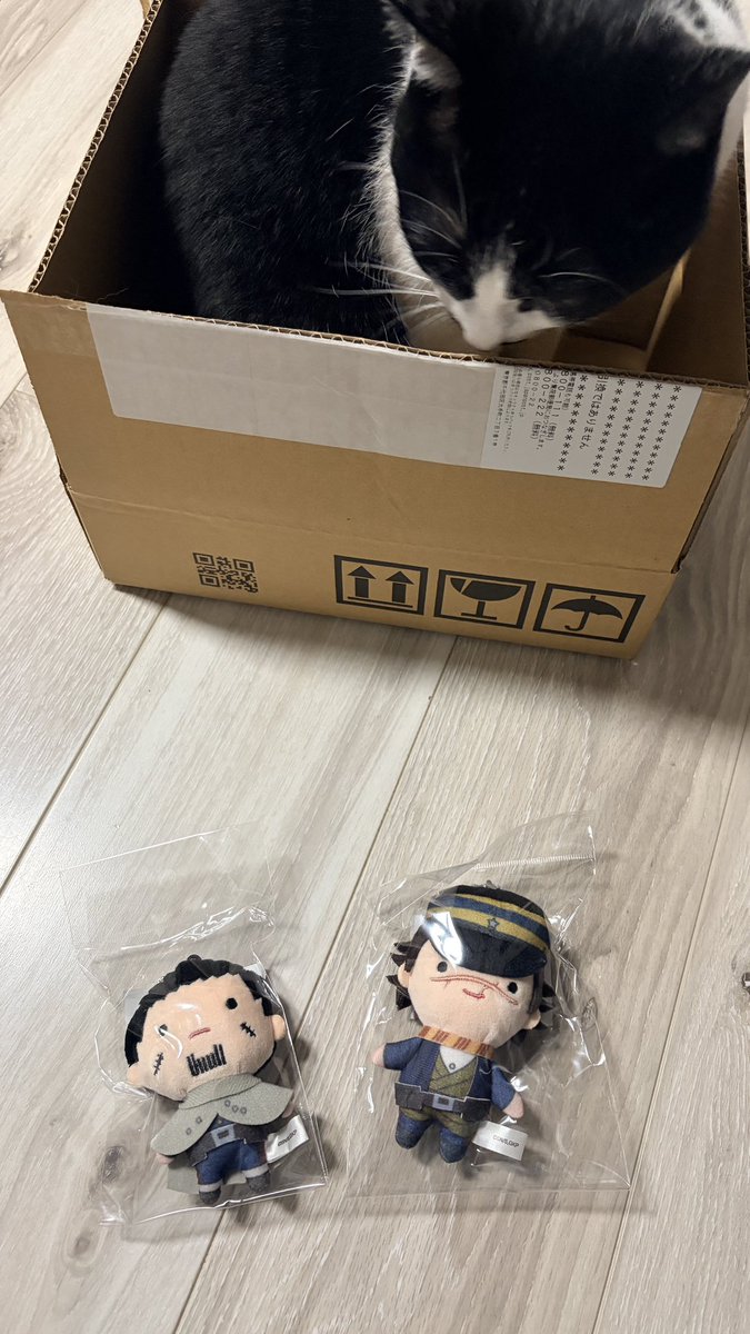 0903nibi's tweet photo. 早速トパ尾ﾁｬﾝ達の入ってた段ボールが🐈‍⬛の餌食 https://t.co/ZCgsqIBLss