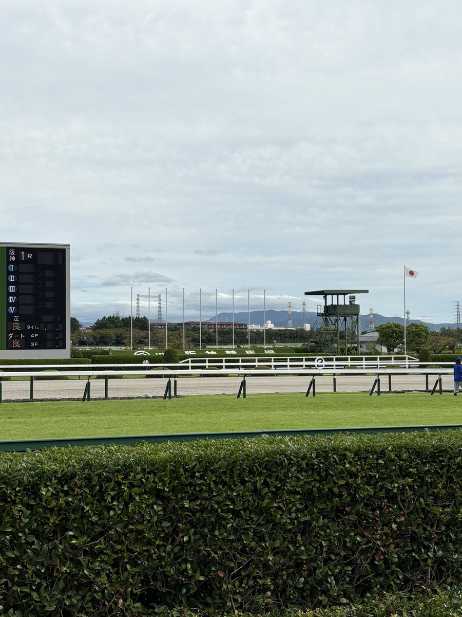 CyanYou9531's tweet photo. おはようございます
今朝の阪神競馬場の様子です
薄日がさしていて時々風が4コーナー方向へ吹いています
なぜかターフィーくん、おめかししてます https://t.co/qxinvR7p6N