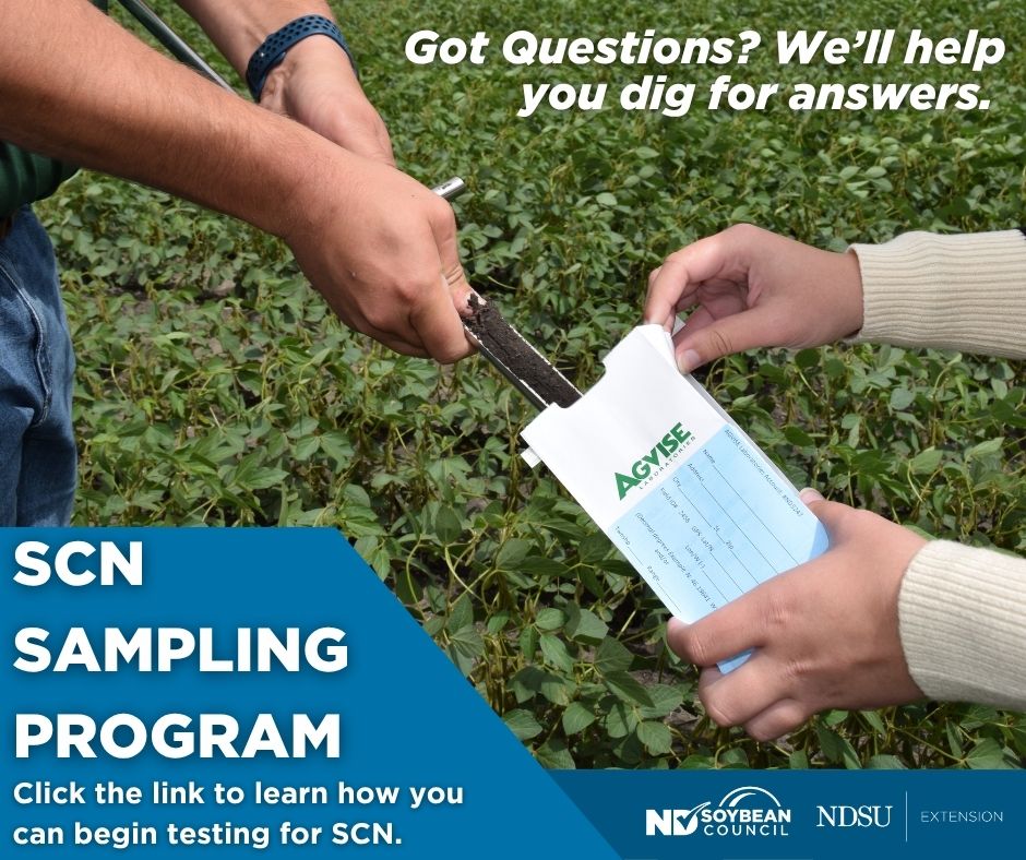 NDSoybean's tweet photo. 🌱Soybean Cyst Nematode (SCN) continues to be one of the biggest threats to soybean yields, and it's showing up more often across ND. The only way to know if it's in your fields is to test.

The ND Soybean Council & @NDSUExtension are providing free SCN soil sampling bags to help farmers take that step.

Learn more about the SCN sampling program at https://t.co/ofVE9ihKuj