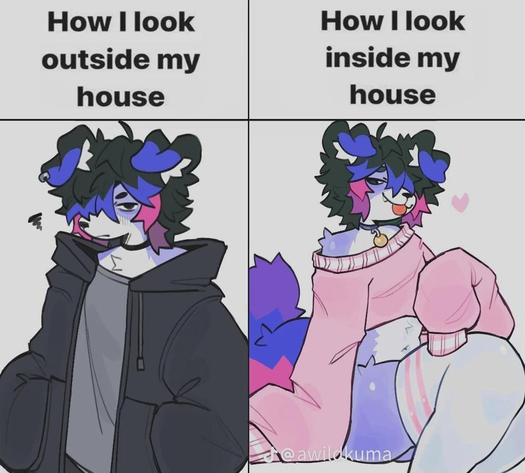 femboykumie's tweet photo. https://t.co/BJl9mZVtob