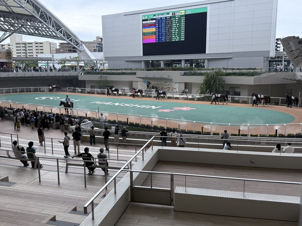 mtmy0910's tweet photo. おはようございます🐴。
午前中までいます😃🎵

#阪神競馬場 https://t.co/FG0IX44LHP