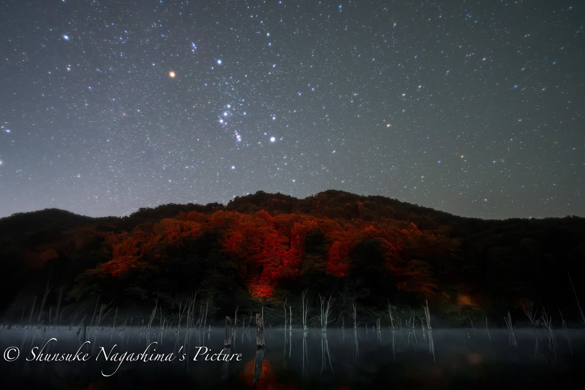 robertfeldman02's tweet photo. クルマのストップランプで紅葉🍁のように見える赤井川村。
#kani_filter #北海道 #星空 #撮影会 #富士フィルムフォトサロン札幌 #Leofoto #紅葉 #赤井川村 #Nikon #パーシャルソフトフォーカス #LPRF https://t.co/wZZTuX4McA