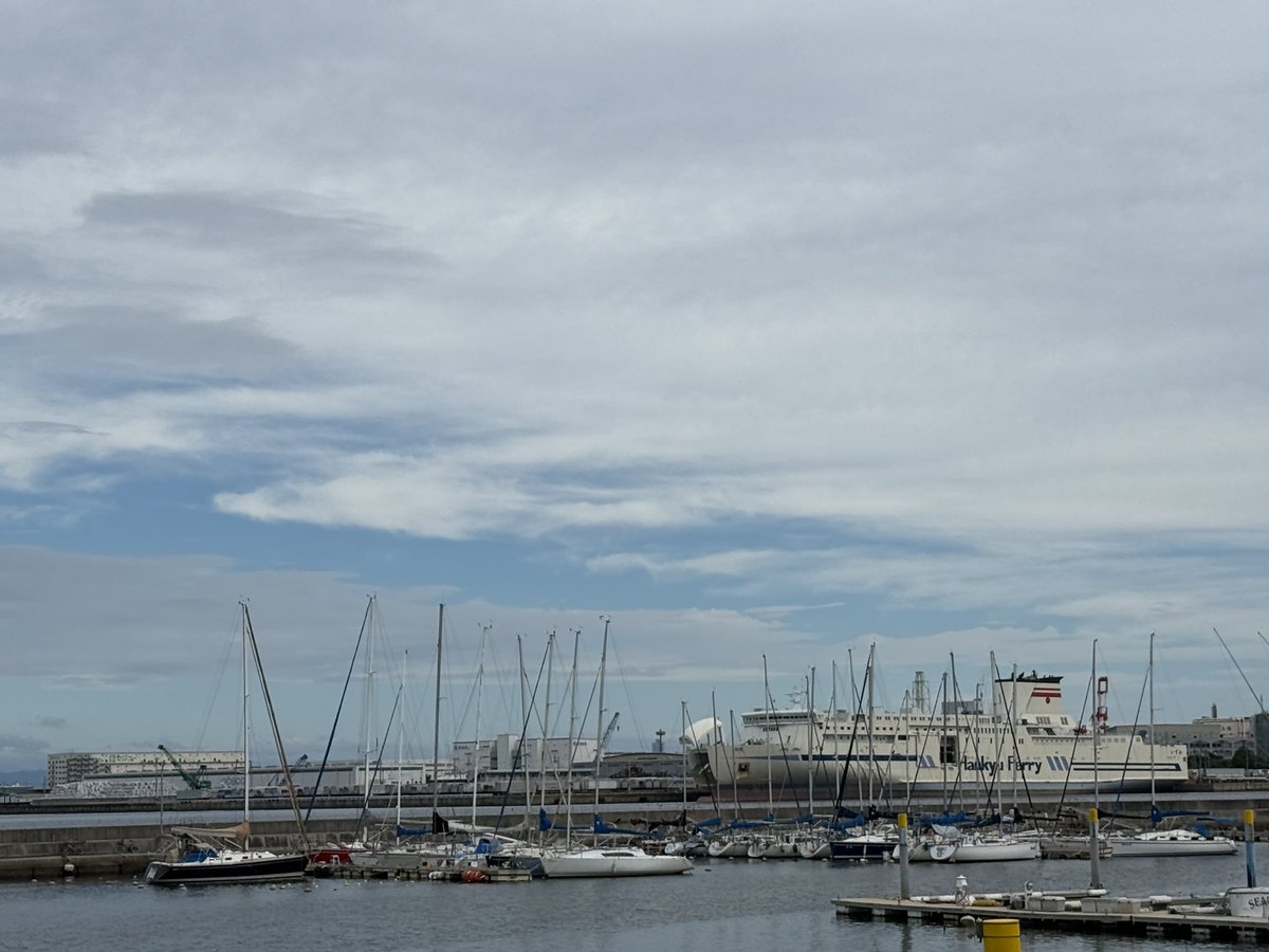 oceanmarine00's tweet photo. おはようございます！
本日の泉大津市は全体的に雲に覆われています。風もやや強く吹いています。
とても過ごしやすい気候です！！
楽しいシルバーウィークをお過ごしください！！
＃イマソラ　＃泉大津市
＃企業公式が地元の天気を言い合う
 #空の日
 #バスの日 https://t.co/hNJowkb1ot