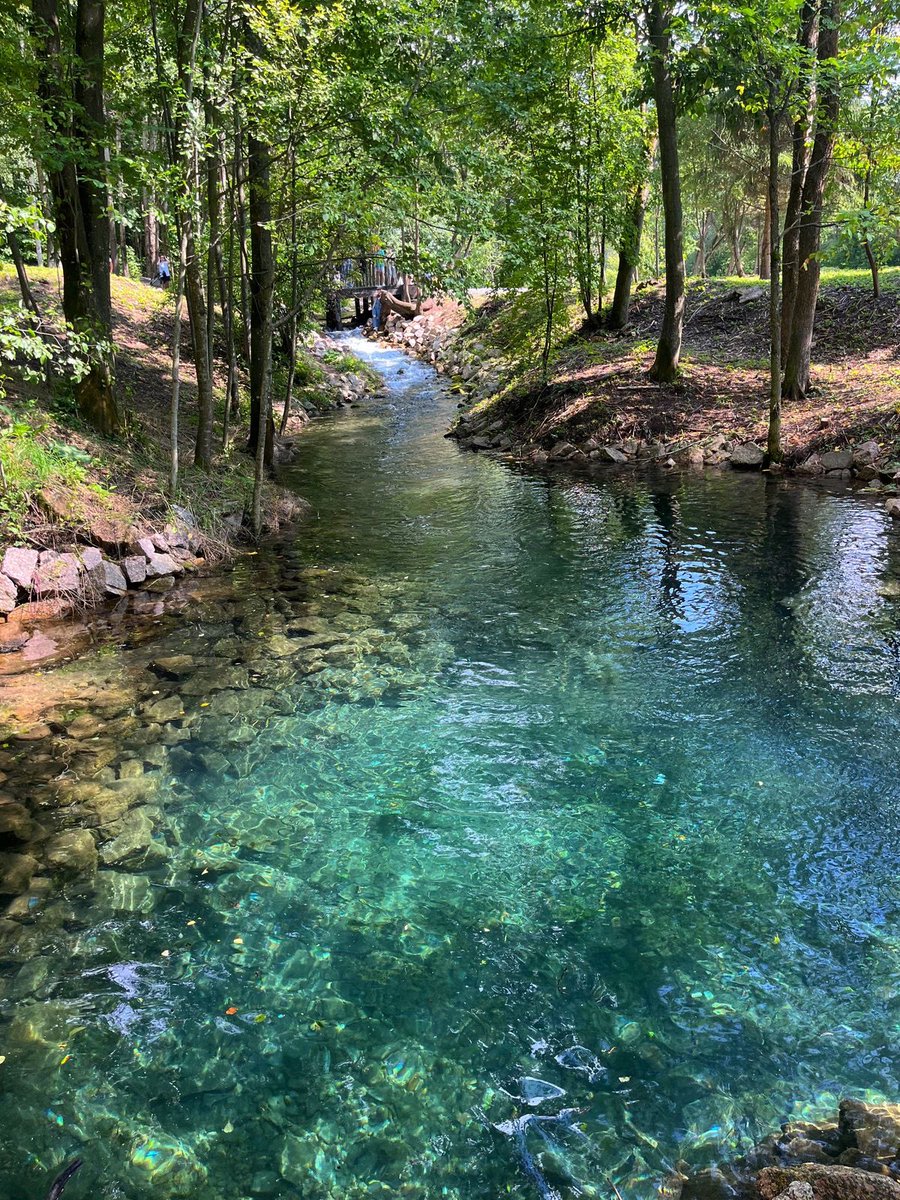 greenvibe's tweet photo. Breathtakingly clear waters https://t.co/AX07jRJUWy