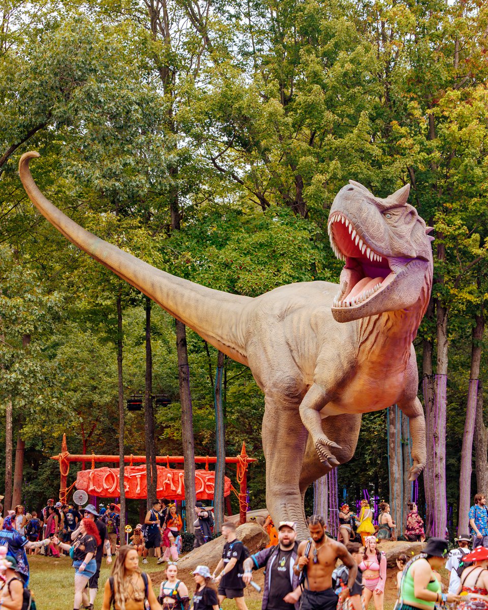 excisionpresent's tweet photo. Stepping into another day in our prehistoric playground 💚 https://t.co/Y4qSr9VY95