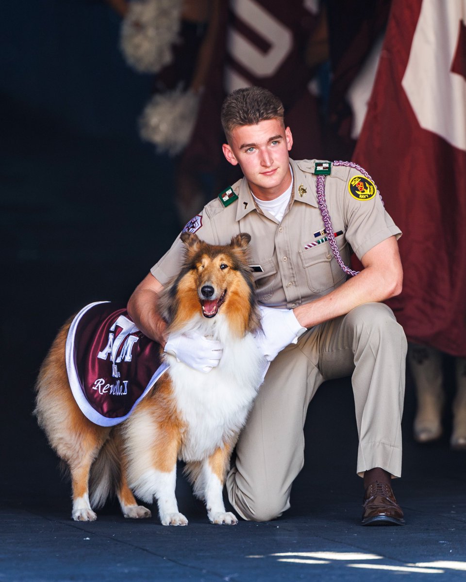 reveille's tweet photo. Another Saturday with my Ags! 🐾🏈 https://t.co/WbdyNskoGs