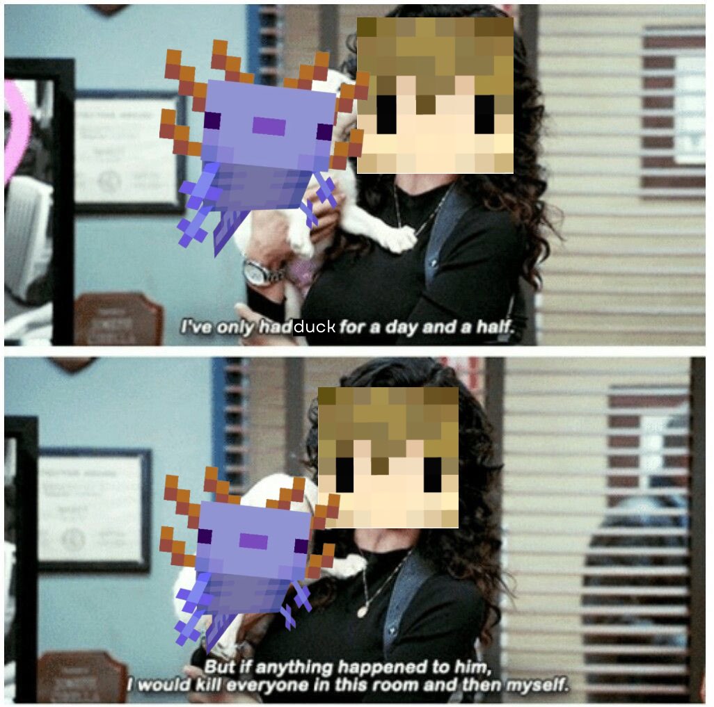 3Chaotic3's tweet photo. catching up on #hermitcraft rn :D https://t.co/BdcI0kJg1h