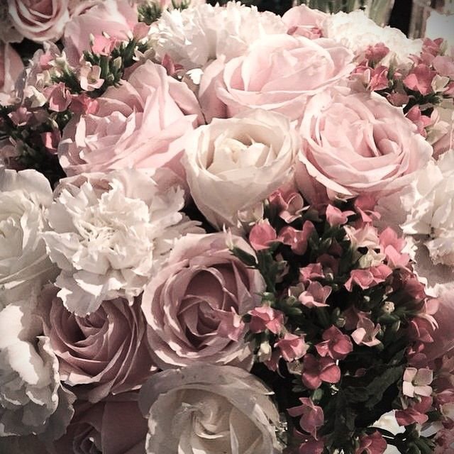 luliveur's tweet photo. larissa maria arslan https://t.co/Fkh83QgP8a