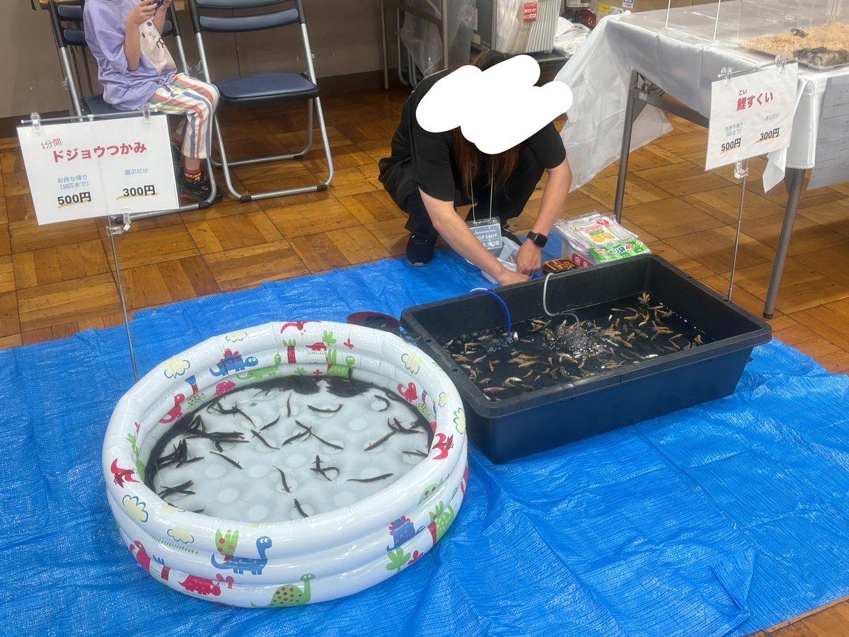 1423rat's tweet photo. 設営完了しました！
たくさんの生体を用意してお待ちしております！
どじょうつかみ、鯉すくいだけでも是非❕
今回の鯉はキラキラできれいですよ⊂( ᴖ ̫ᴖ )⊃
#小動物販売
#アクアリウムバス 
#アクバス https://t.co/HsQBjVkbWV