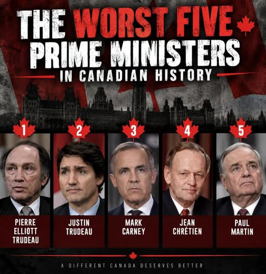 pete_porcupine's tweet photo. all liberal, go figure https://t.co/BGfHDSq0RP